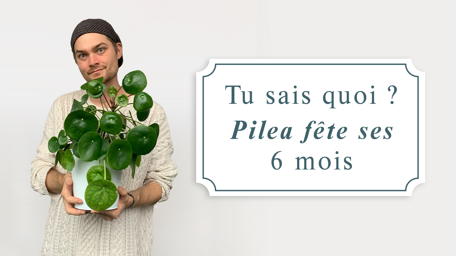 Valentin le créateur du Studio tient un pot de Pilea dans ses mains. Il y a un texte dans un encadré qui indique que le studio fête ses 6 mois